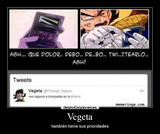 Vegeta - también tiene sus prioridades