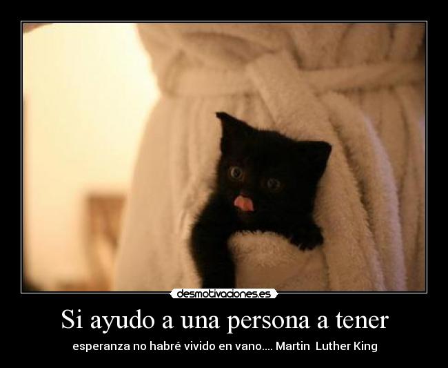 carteles lindo desmotivaciones