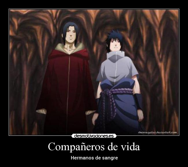 Compañeros de vida - Hermanos de sangre