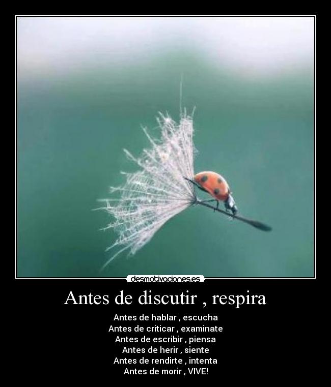 carteles 1235785 desmotivaciones