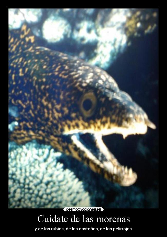 Cuidate de las morenas - 