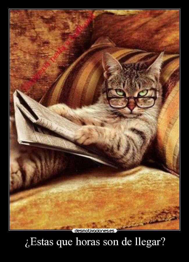 ¿Estas que horas son de llegar? -