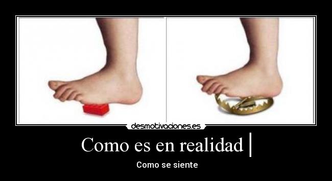 Como es en realidad│ -