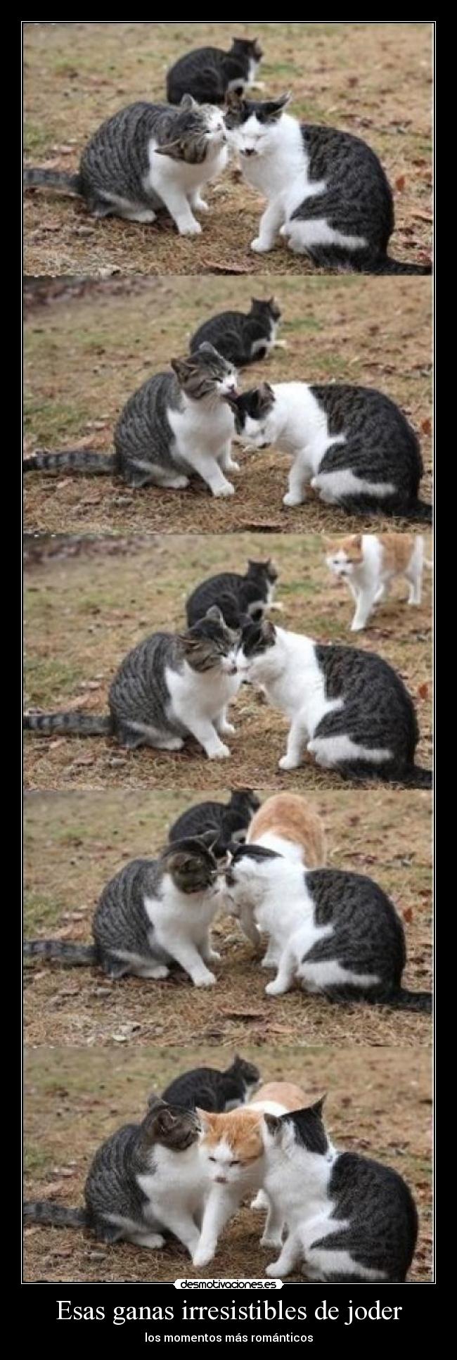 Esas ganas irresistibles de joder -