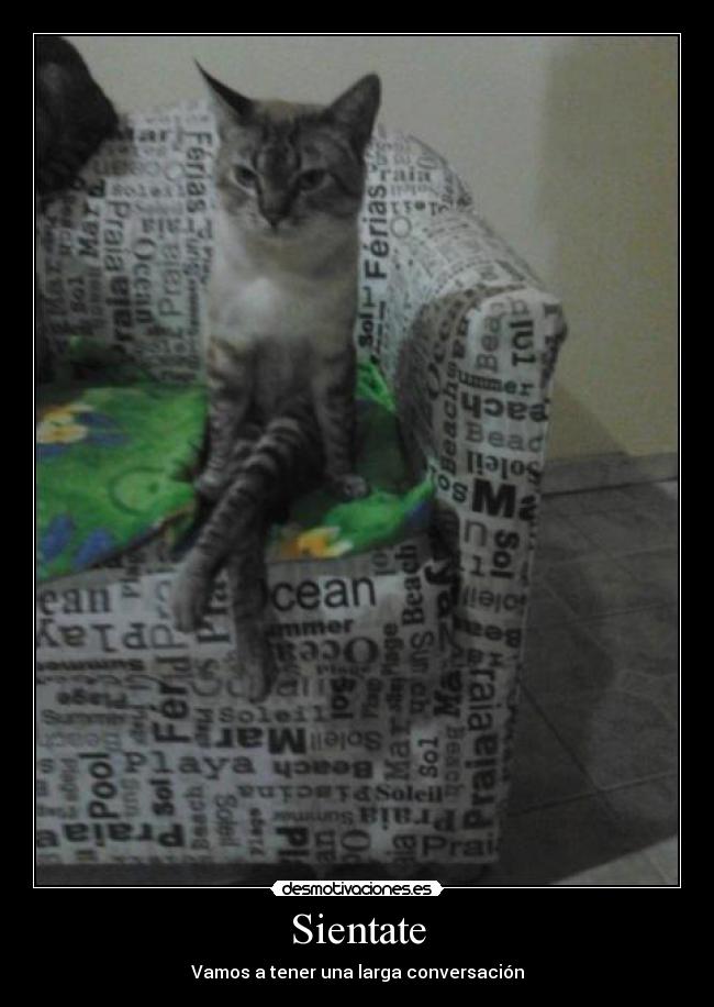 Sientate - Vamos a tener una larga conversación