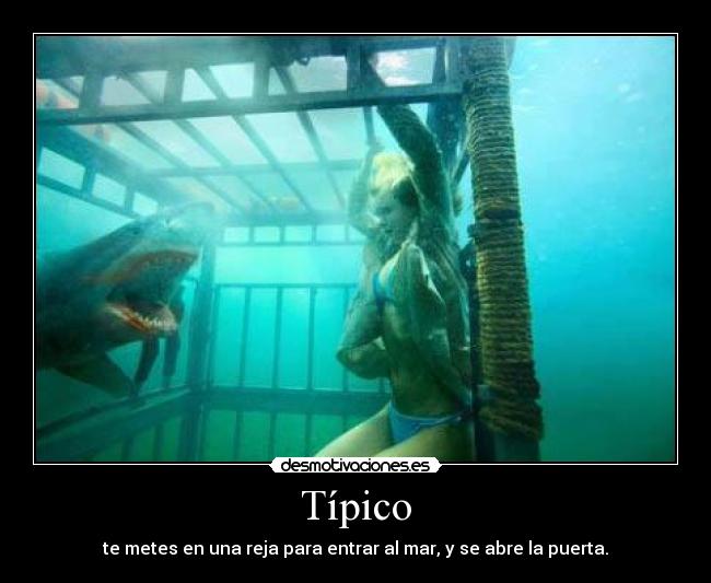 carteles tipico desmotivaciones