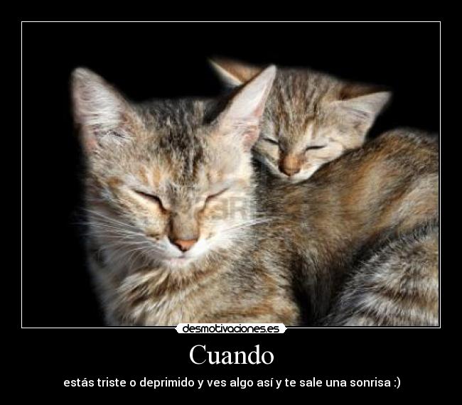 Cuando - estás triste o deprimido y ves algo así y te sale una sonrisa :)