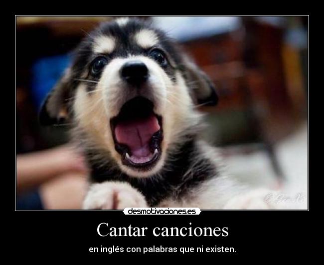 Cantar canciones - 