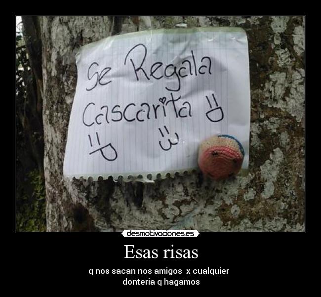Esas risas - q nos sacan nos amigos x cualquier
donteria q hagamos