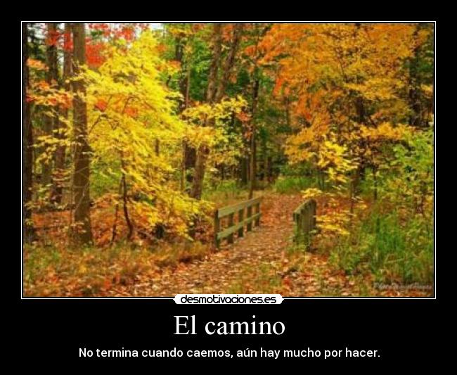 carteles vida camino motivacion esperanza desmotivaciones