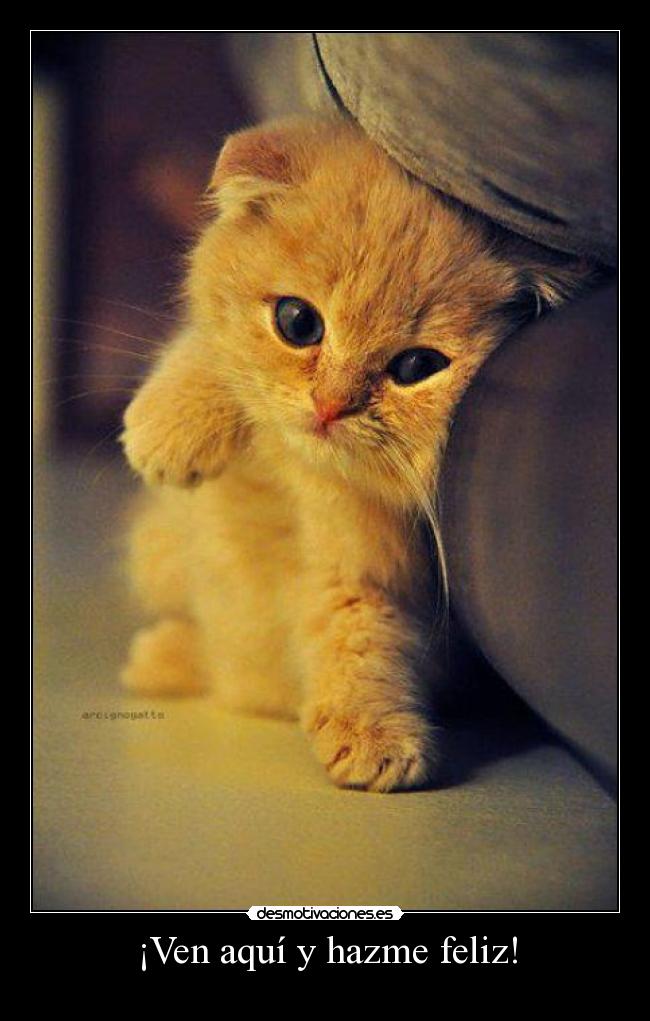 ¡Ven aquí y hazme feliz! -
