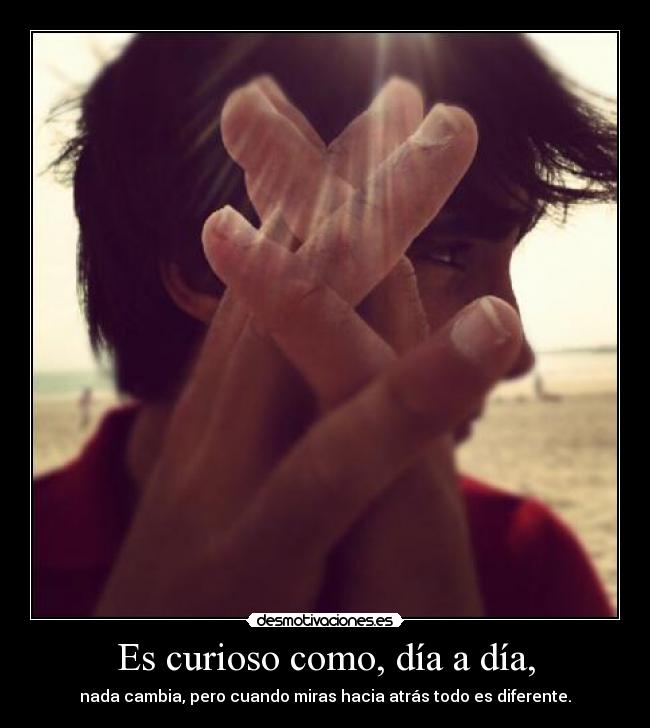 carteles makasister bienvenido republica independiente mundo desmotivaciones