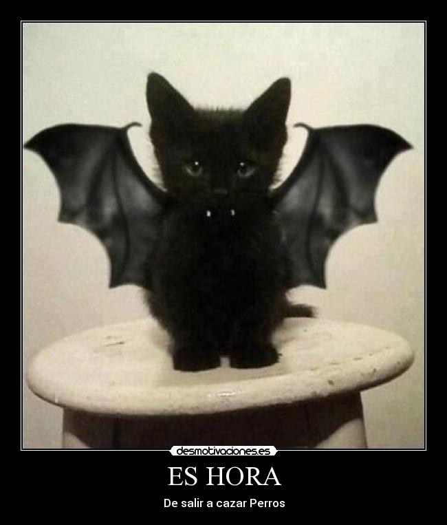ES HORA - De salir a cazar Perros