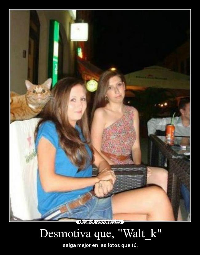 Desmotiva que, Walt_k -