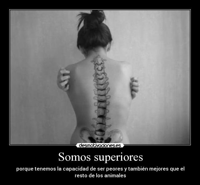 Somos superiores -