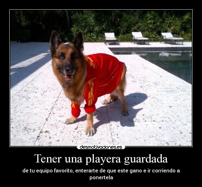 Tener una playera guardada - de tu equipo favorito, enterarte de que este gano e ir corriendo a ponertela