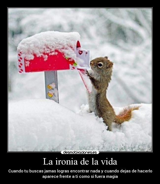 carteles vida ironico vida desmotivaciones