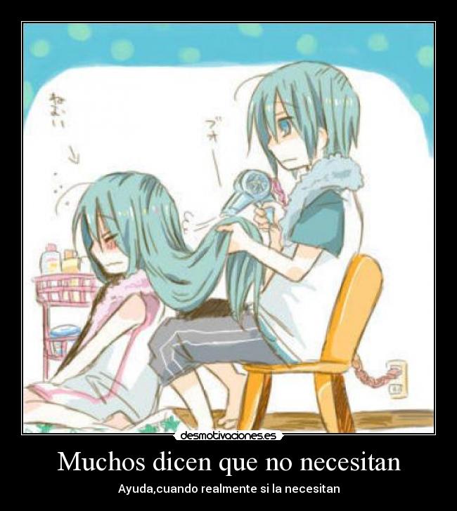 Muchos dicen que no necesitan -