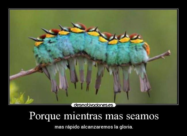Porque mientras mas seamos - 