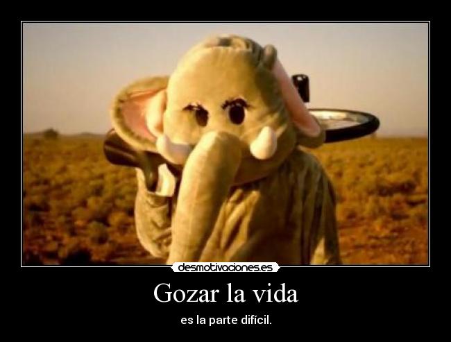 carteles vida paranoia desmotivaciones