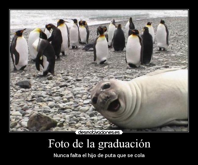 Foto de la graduación - 