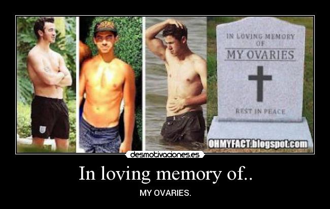 In loving memory of.. - MY OVARIES.