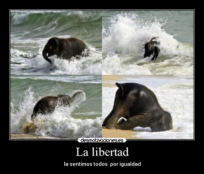 La libertad - 