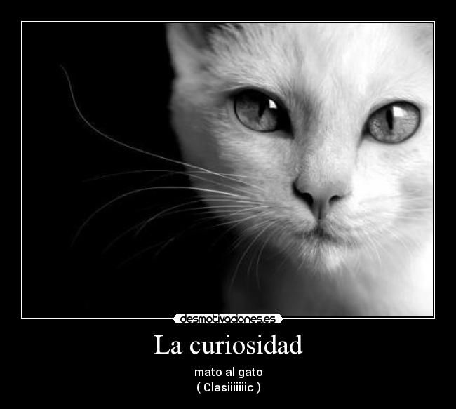 La curiosidad - mato al gato
( Clasiiiiiiic )