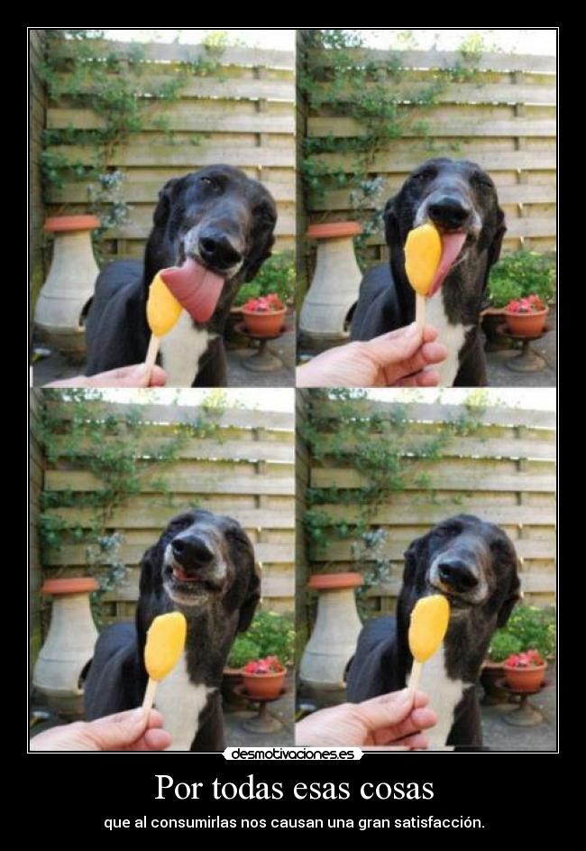 Por todas esas cosas -