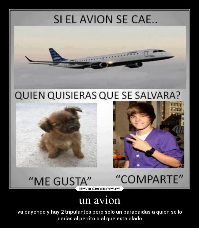 un avion - va cayendo y hay 2 tripulantes pero solo un paracaidas a quien se lo
darias al perrito o al que esta alado