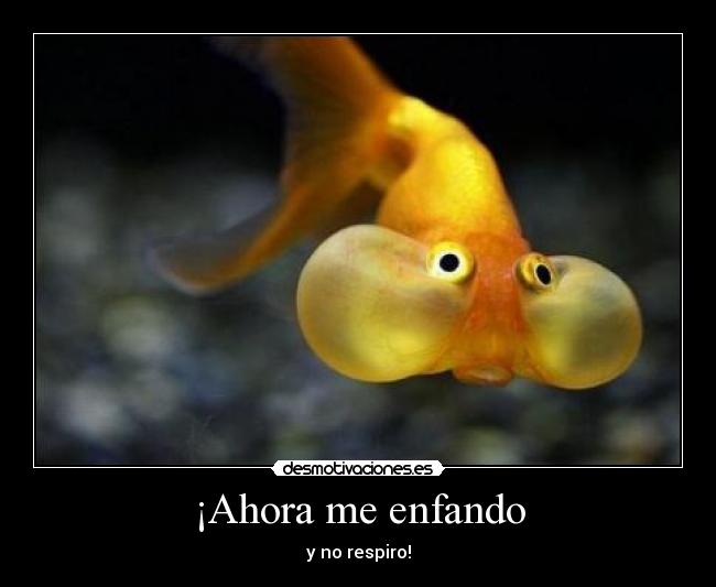 ¡Ahora me enfando - y no respiro!