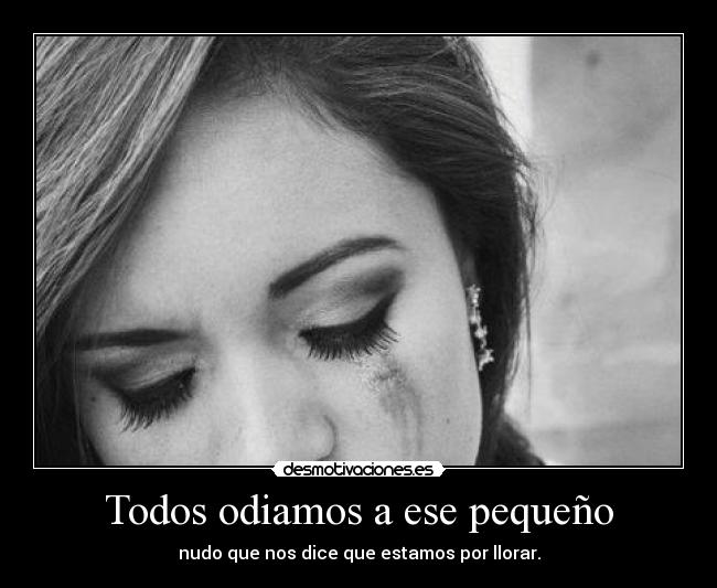 Todos odiamos a ese pequeño -