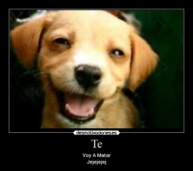 Te - Voy A Matar
Jejejejej