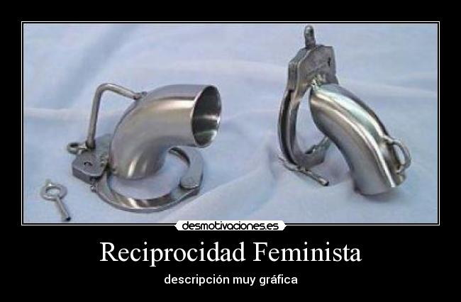 Reciprocidad Feminista - descripción muy gráfica