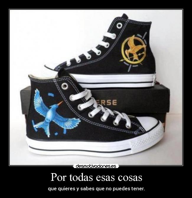 Por todas esas cosas - que quieres y sabes que no puedes tener.