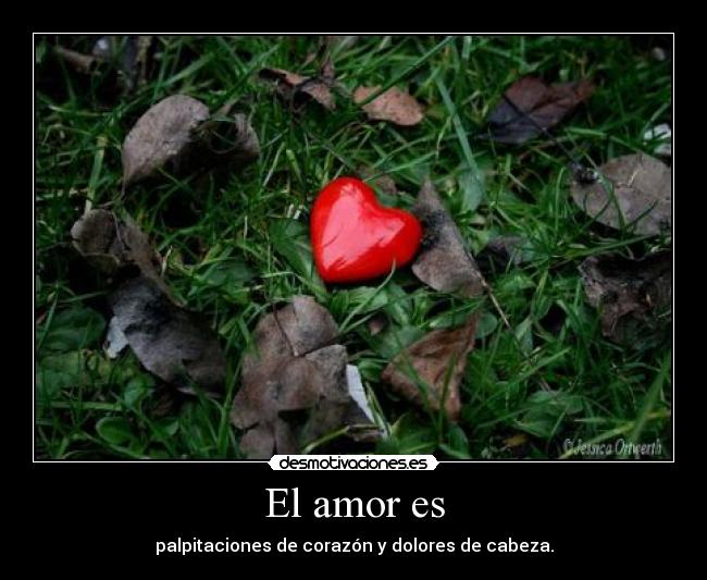 El amor es - 