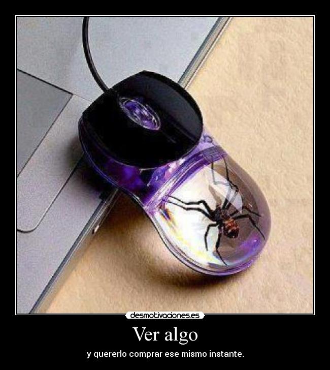 carteles verdad desmotivaciones