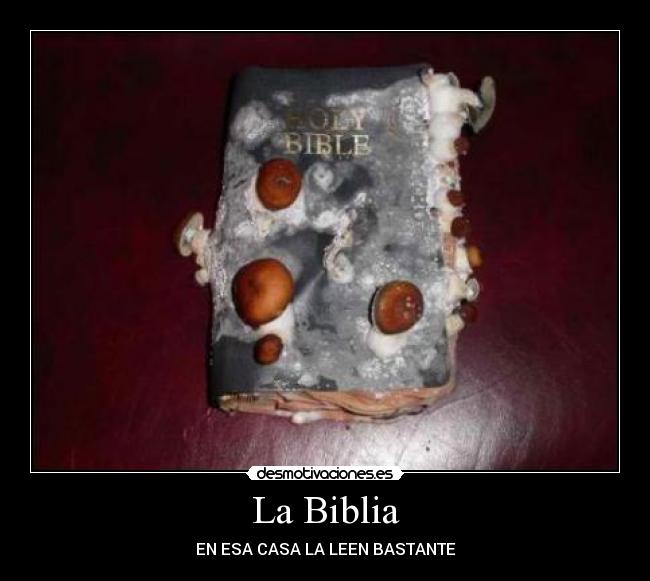 La Biblia - EN ESA CASA LA LEEN BASTANTE