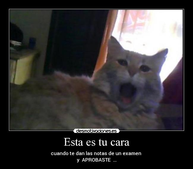 Esta es tu cara - cuando te dan las notas de un examen 
y  APROBASTE  ...