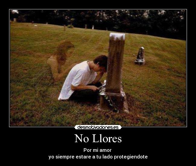 No Llores -