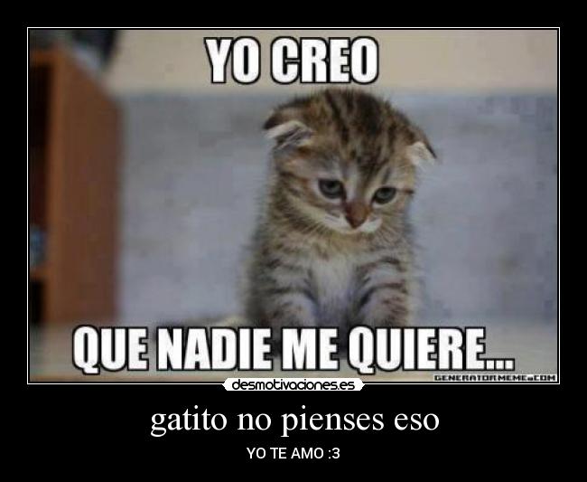 gatito no pienses eso - YO TE AMO :3