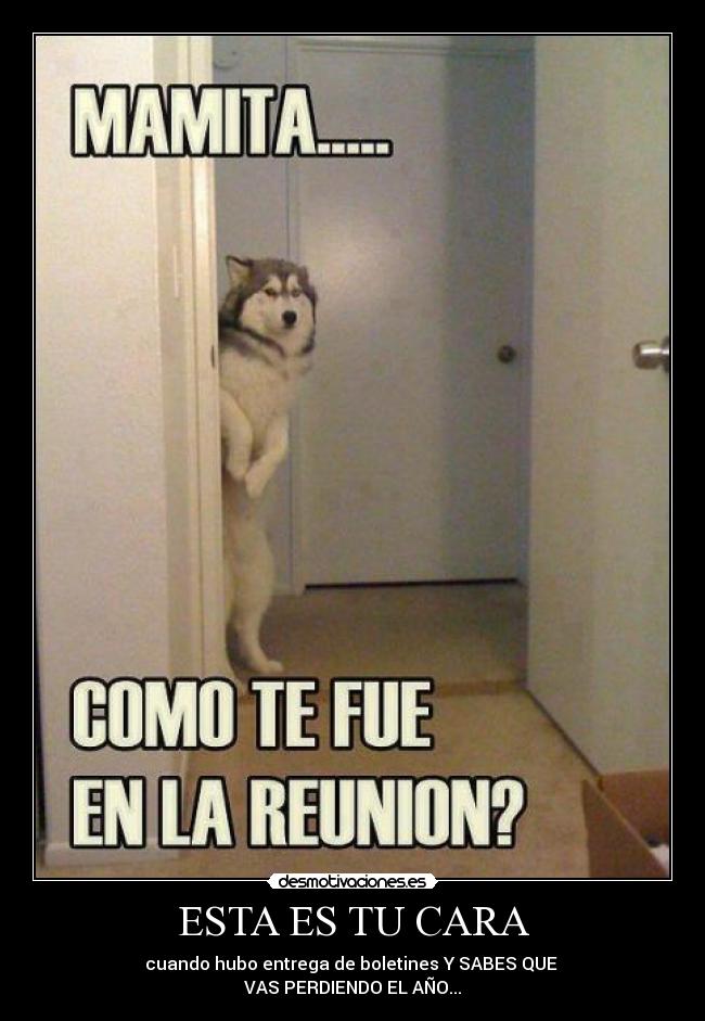 ESTA ES TU CARA - cuando hubo entrega de boletines Y SABES QUE
VAS PERDIENDO EL AÑO...