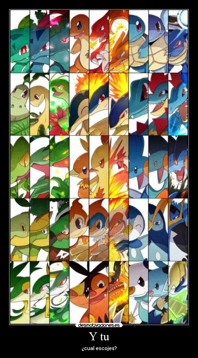 Y tu - ¿cual escojes?