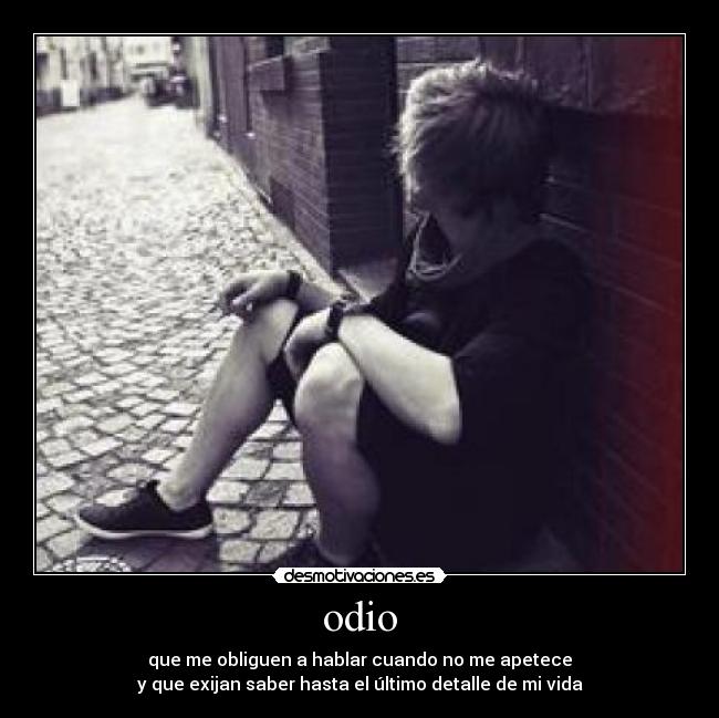 odio - 