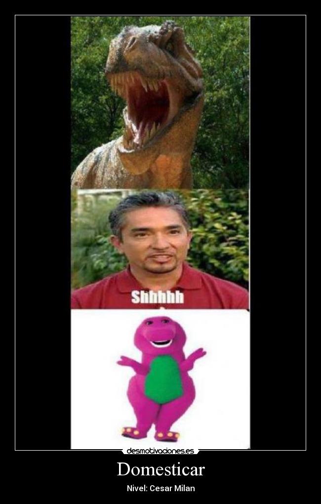Domesticar -