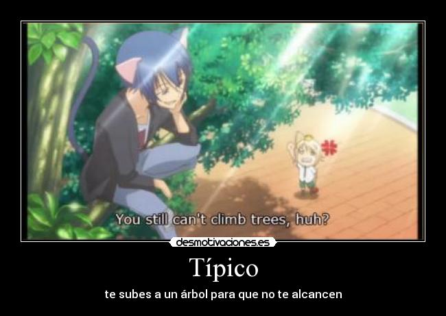 Típico - 