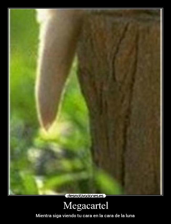 Megacartel - Mientra siga viendo tu cara en la cara de la luna ♪