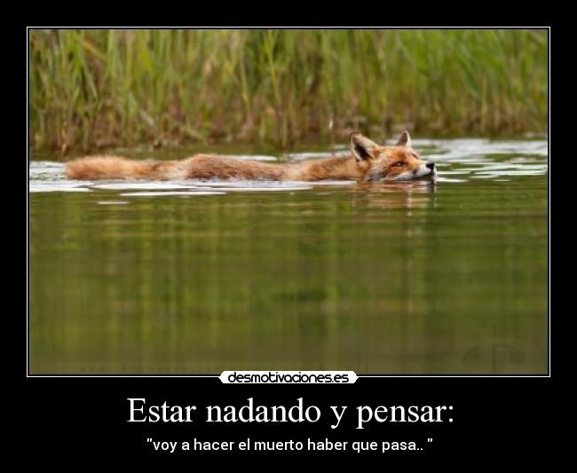 Estar nadando y pensar: - voy a hacer el muerto haber que pasa..