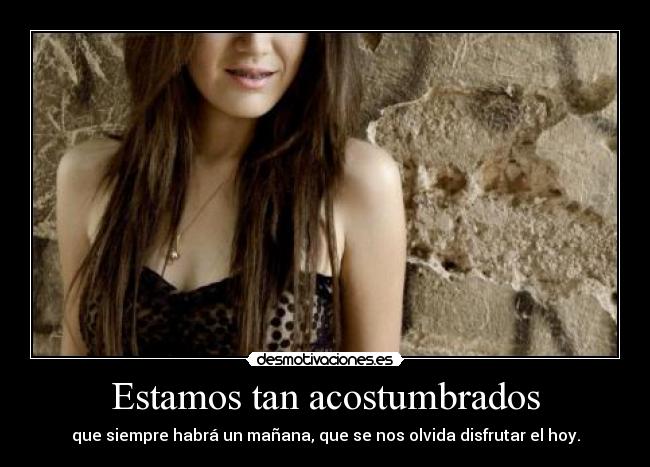 Estamos tan acostumbrados -