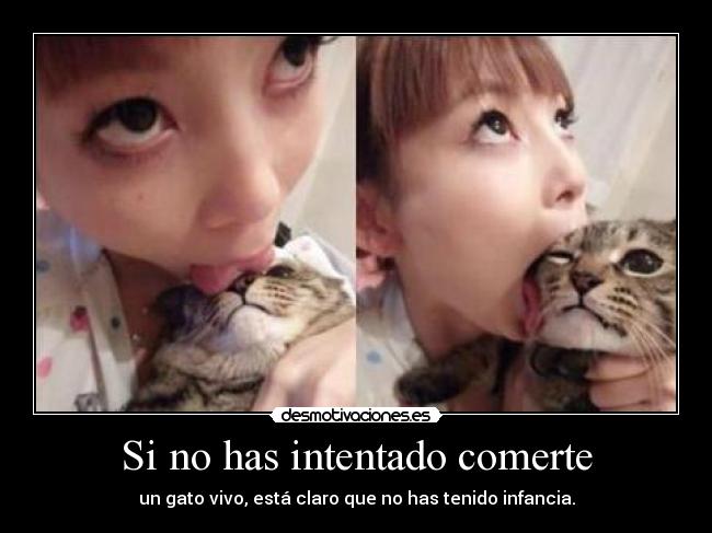 carteles iristello intruders puaaag que asco joder aaargg desmotivaciones